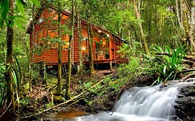The Mouses House Rainforest Retreat