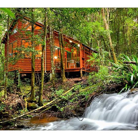 The Mouses House Rainforest Retreat Спрингбрук Экстерьер фото