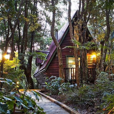 The Mouses House Rainforest Retreat Спрингбрук Экстерьер фото