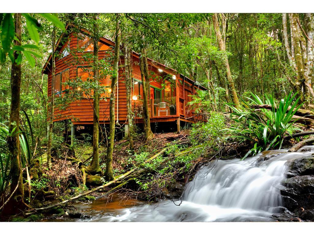 The Mouses House Rainforest Retreat Спрингбрук Экстерьер фото