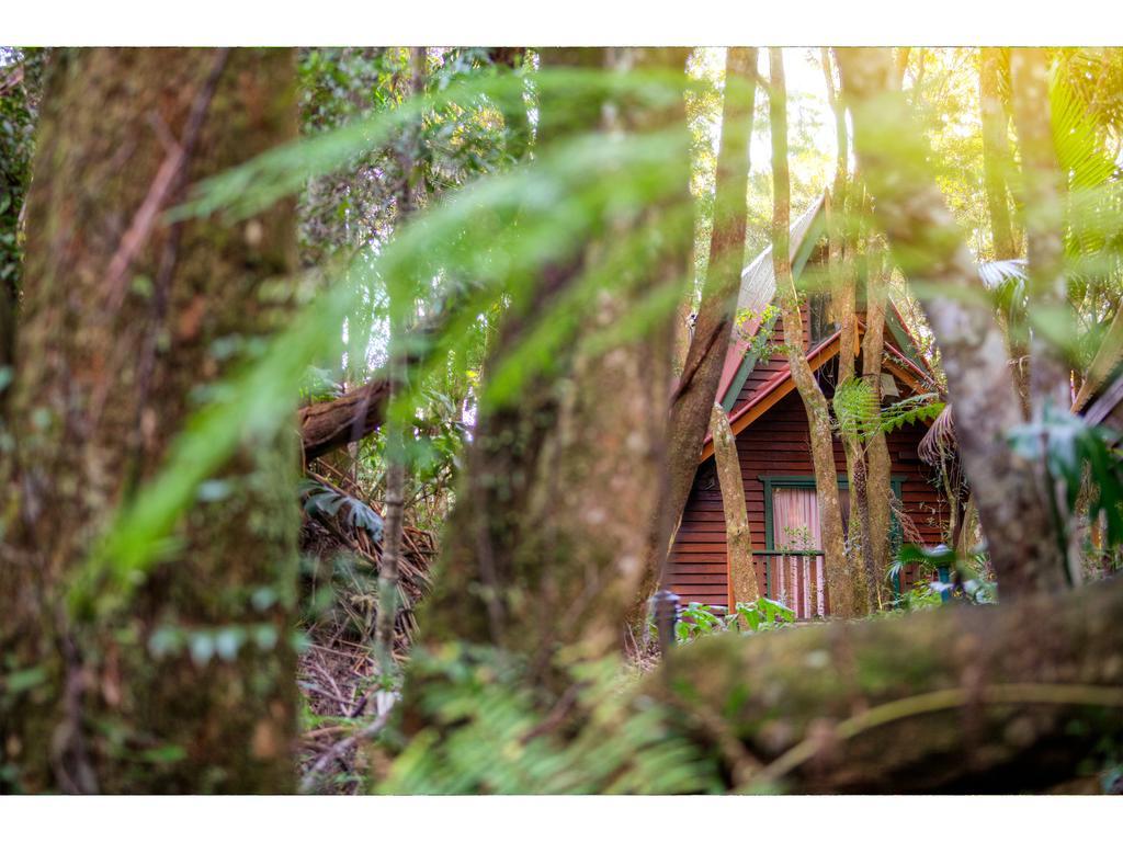 The Mouses House Rainforest Retreat Спрингбрук Экстерьер фото