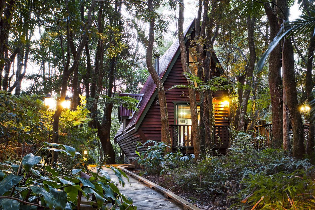 The Mouses House Rainforest Retreat Спрингбрук Экстерьер фото