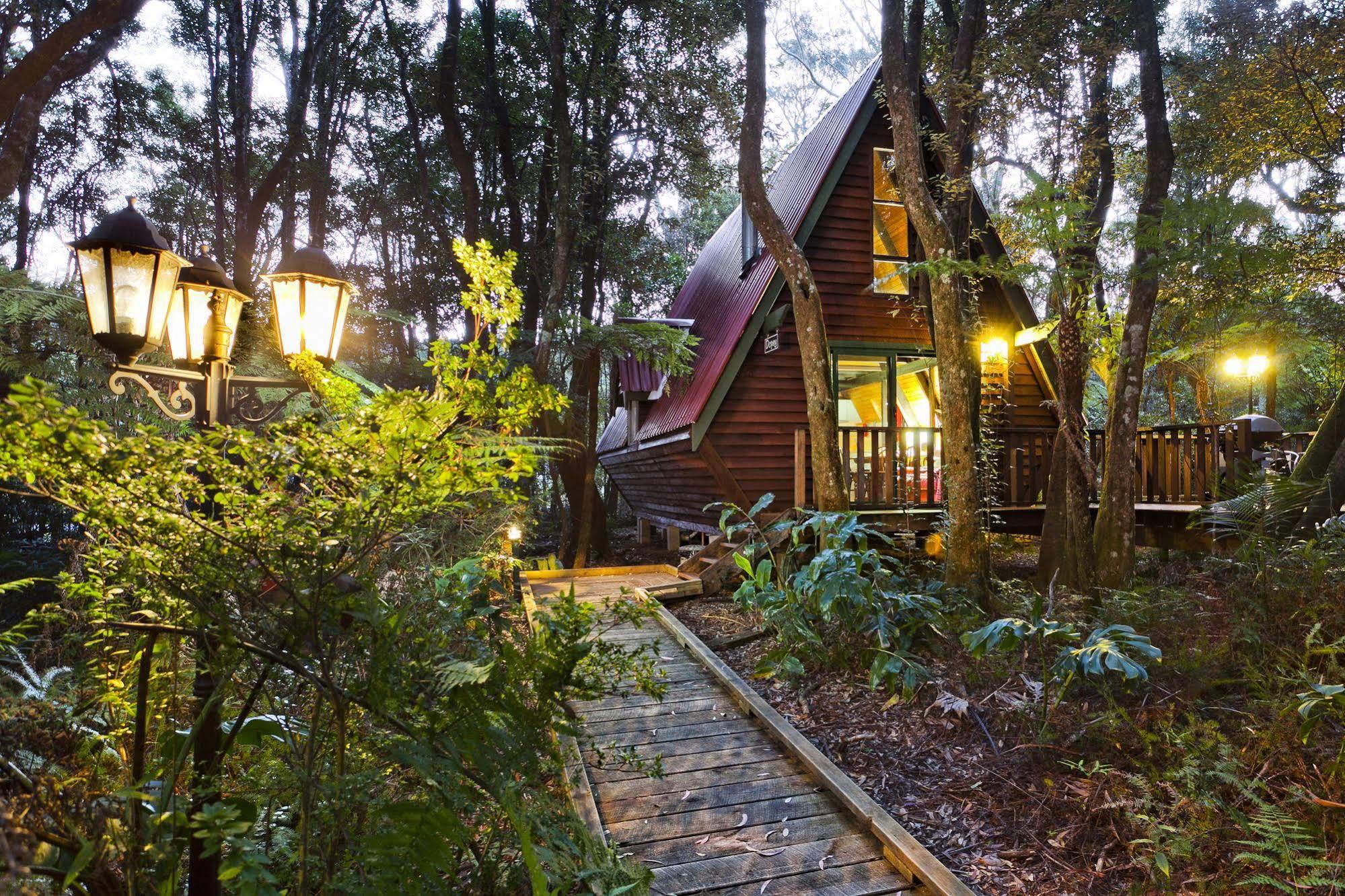 The Mouses House Rainforest Retreat Спрингбрук Экстерьер фото