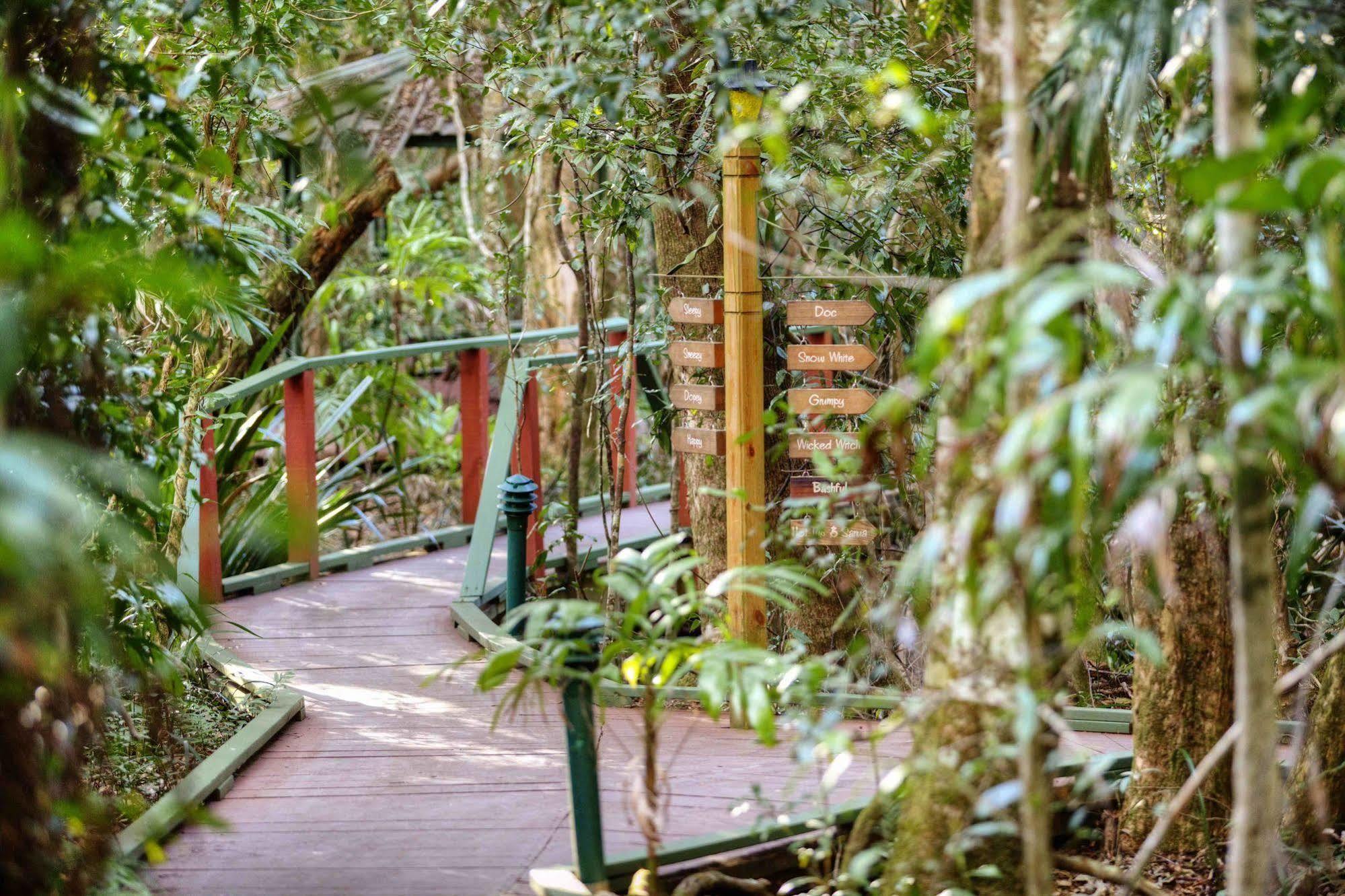 The Mouses House Rainforest Retreat Спрингбрук Экстерьер фото