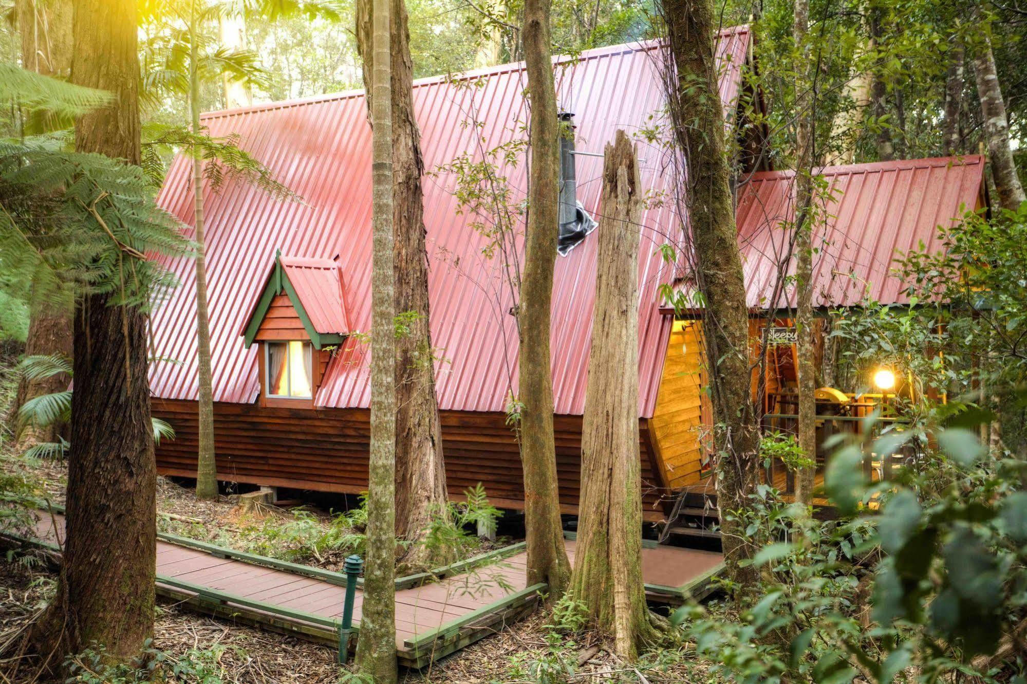 The Mouses House Rainforest Retreat Спрингбрук Экстерьер фото
