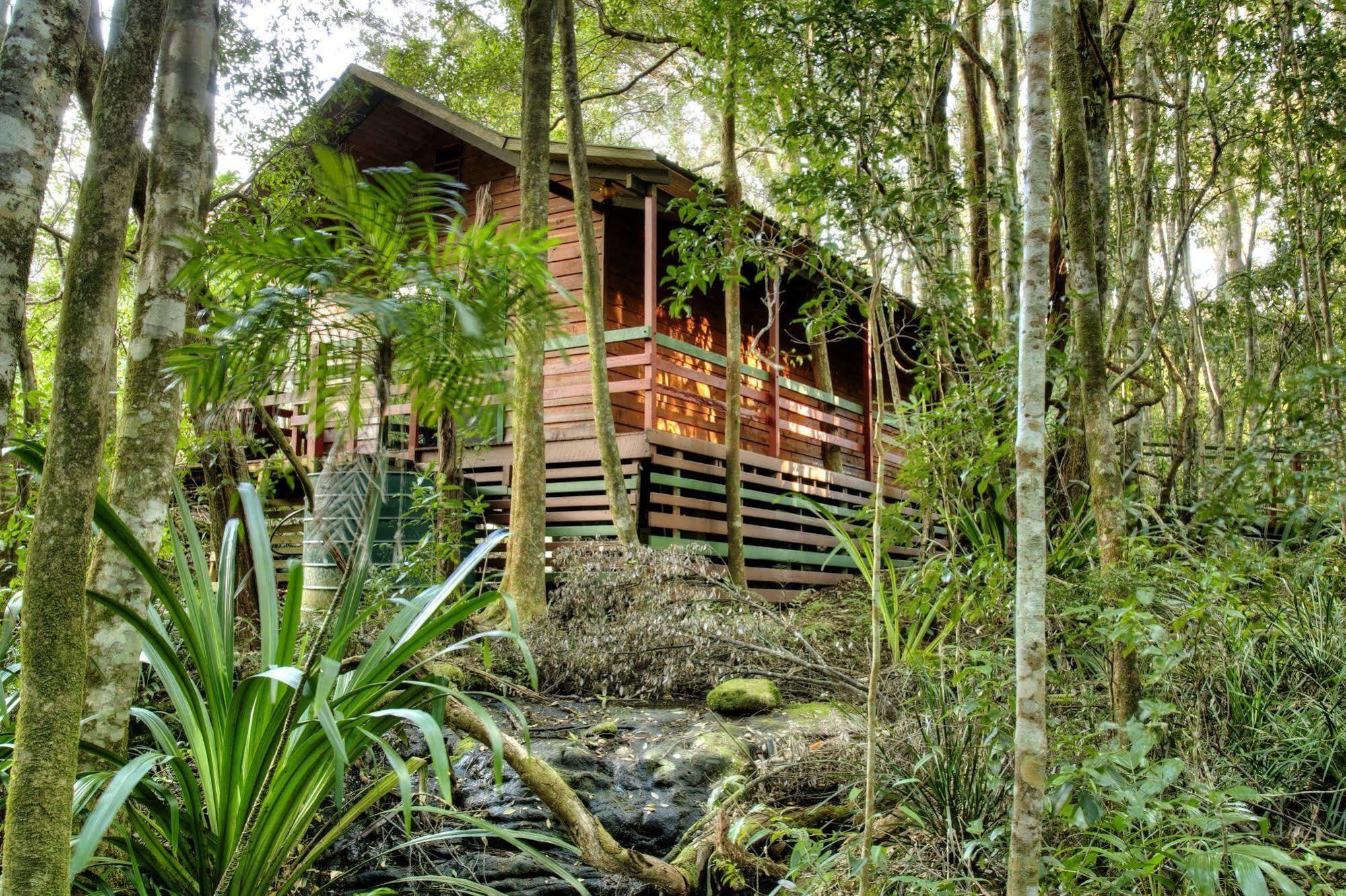 The Mouses House Rainforest Retreat Спрингбрук Экстерьер фото