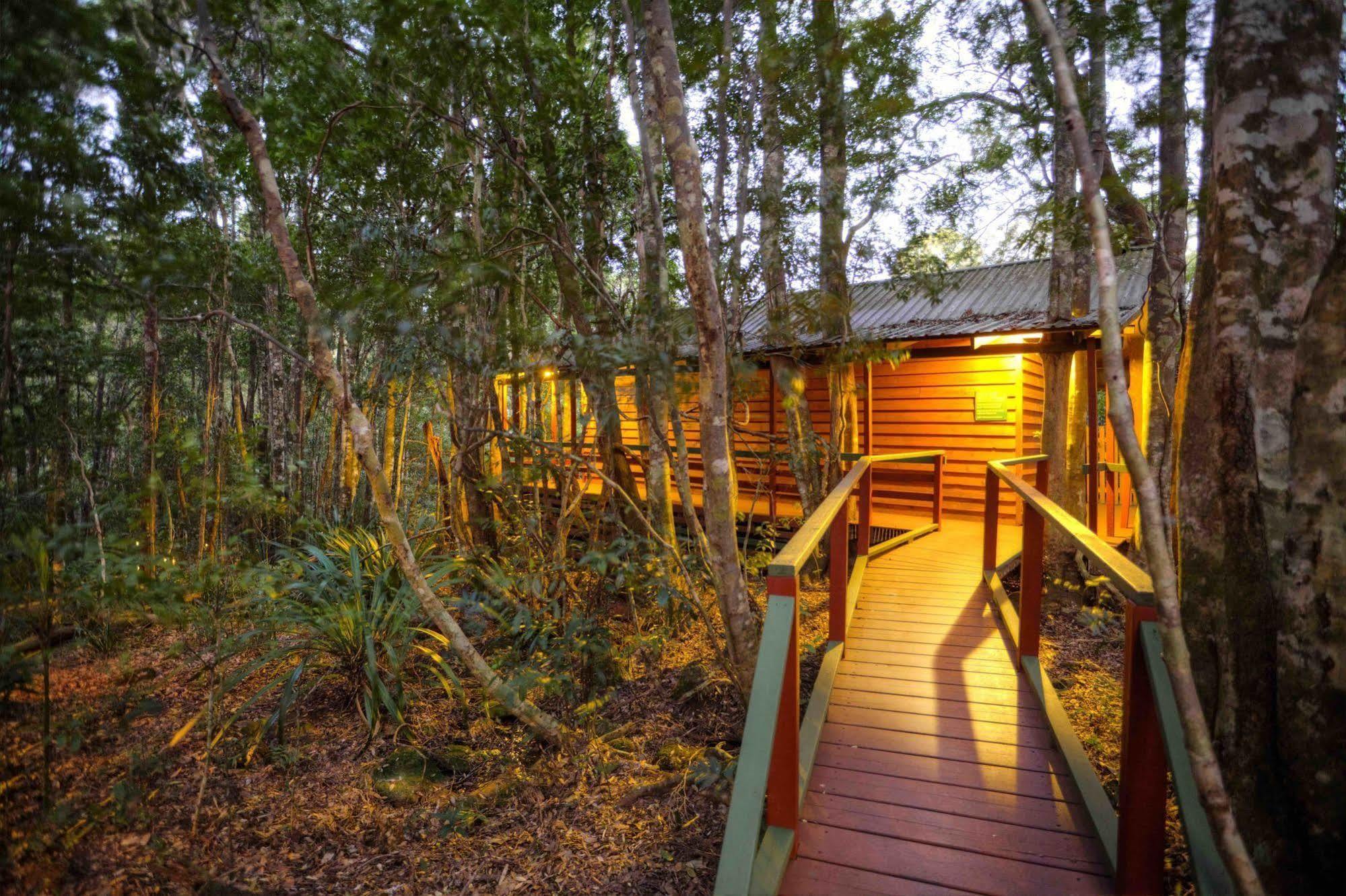 The Mouses House Rainforest Retreat Спрингбрук Экстерьер фото